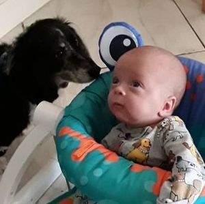 Meet your Posher, Laurie